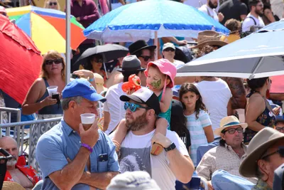 DSC_2093 (Large).JPG